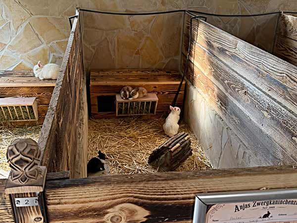 Gehege mit Rückzugsorten